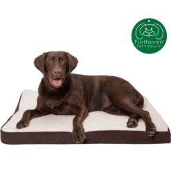 FurHaven Faux Sheepskin & Suede Deluxe Orthopedic Cat & Dog Bed With Removable Cover -PetSafe Shop Sale 145039 PT3. AC SS1800 V1606357617