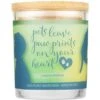Pet House Lemon & Verbena Natural Plant-Based Wax Candle
