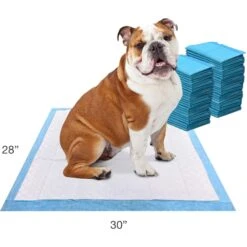 Four Paws Wee-Wee Odor Control With Febreze Freshness Dog Pads 15 Four Paws Wee-Wee Odor Control With Febreze Freshness Dog Pads -PetSafe Shop Sale 151622 PT6. AC SS1800 V1693914421