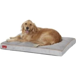 Brindle Soft Orthopedic Pillow Cat & Dog Bed With Removable Cover -PetSafe Shop Sale 154111 PT3. AC SS1800 V1566420250