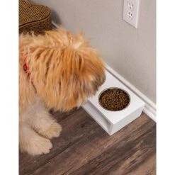 Internet's Best Modern Elevated Dog & Cat Bowls -PetSafe Shop Sale 154379 PT4. AC SS1800 V1540502048