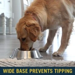 OurPets Durapet Premium Rubber-Bonded Stainless Steel No-Tip Bowl -PetSafe Shop Sale 155074 PT3. AC SS1800 V1638843172