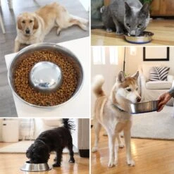 OurPets Durapet Premium Rubber-Bonded Stainless Steel No-Tip Bowl -PetSafe Shop Sale 155074 PT6. AC SS1800 V1638839247