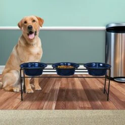Platinum Pets Modern Triple Diner Elevated Wide Rimmed Dog & Cat Bowl 8 Platinum Pets Modern Triple Diner Elevated Wide Rimmed Dog & Cat Bowl -PetSafe Shop Sale 155508 PT4. AC SS1800 V1628181087