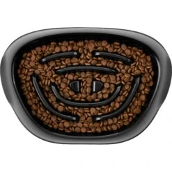 Frisco Non-Skid Slow Feeder Dog & Small Pet Bowl -PetSafe Shop Sale 155648 PT2. AC SS1800 V1553539021