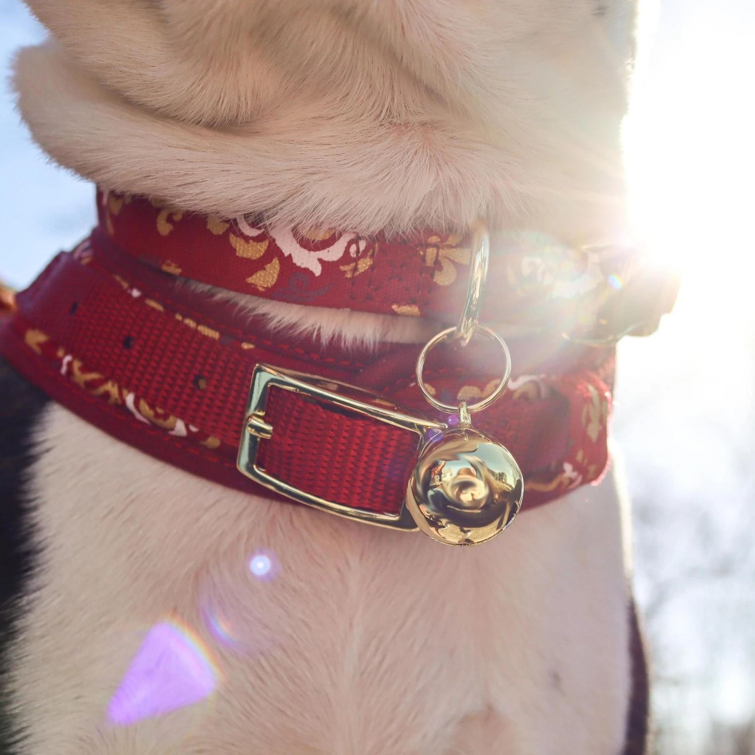 Coastal Pet Products Round Dog Bells 2 Coastal Pet Products Round Dog Bells - Image 2