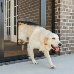 PetSafe Window & Porch Screen Pet Door