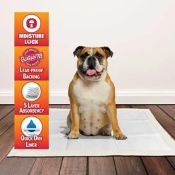 OUT! Heavy Duty XX-Large Dog Pads -PetSafe Shop Sale 159771 PT2. AC SS1800 V1552596789