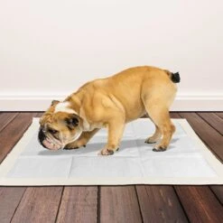 OUT! Heavy Duty XX-Large Dog Pads -PetSafe Shop Sale 159771 PT3. AC SS1800 V1552596788