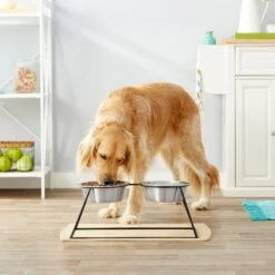 Frisco Pyramid Elevated Stainless Steel Double Diner Dog & Cat Bowl 7 Frisco Pyramid Elevated Stainless Steel Double Diner Dog & Cat Bowl -PetSafe Shop Sale 159884 PT3. AC SS1800 V1561123346