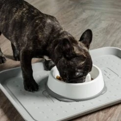 IRIS USA Non-Slip Rubber Slow Feeder With Raised Bumps Dog & Cat Bowl -PetSafe Shop Sale 159938 PT2. AC SS1800 V1598662004