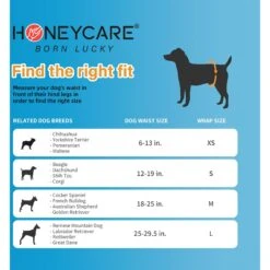 Honey Care All-Absorb Disposable Male Dog Wraps -PetSafe Shop Sale 159971 PT5. AC SS1800 V1696519276