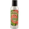 Pet Odor Exterminator Kiwi Twisted Strawberry Air Freshener