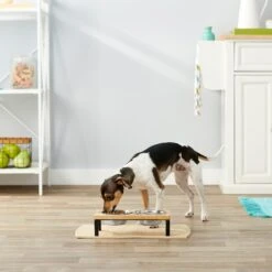 Frisco Wood Elevated Stainless Steel Double Diner Dog & Cat Bowl -PetSafe Shop Sale 161144 PT3. AC SS1800 V1561641426