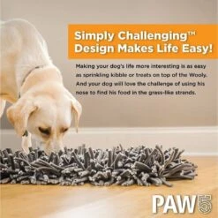 PAW5 Wooly Snuffle Dog Feeding Mat -PetSafe Shop Sale 161160 PT7. AC SS1800 V1685042054