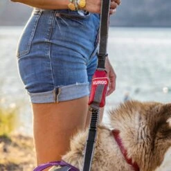 Kurgo Duty Bag Dog Poop Bag Dispenser -PetSafe Shop Sale 163896 PT3. AC SS1800 V1636148845