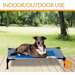 K&H Pet Products Coolin' Pet Cot Elevated Pet Bed -PetSafe Shop Sale 164028 PT4. AC SS1800 V1620847118