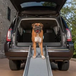 PetSafe Happy Ride Deluxe Compact Telescoping Dog Car Ramp