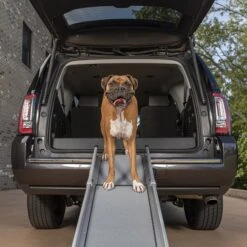 PetSafe Happy Ride Deluxe Compact Telescoping Dog Car Ramp 15 PetSafe Happy Ride Deluxe Compact Telescoping Dog Car Ramp -PetSafe Shop Sale 166219 PT7. AC SS1800 V1614360092