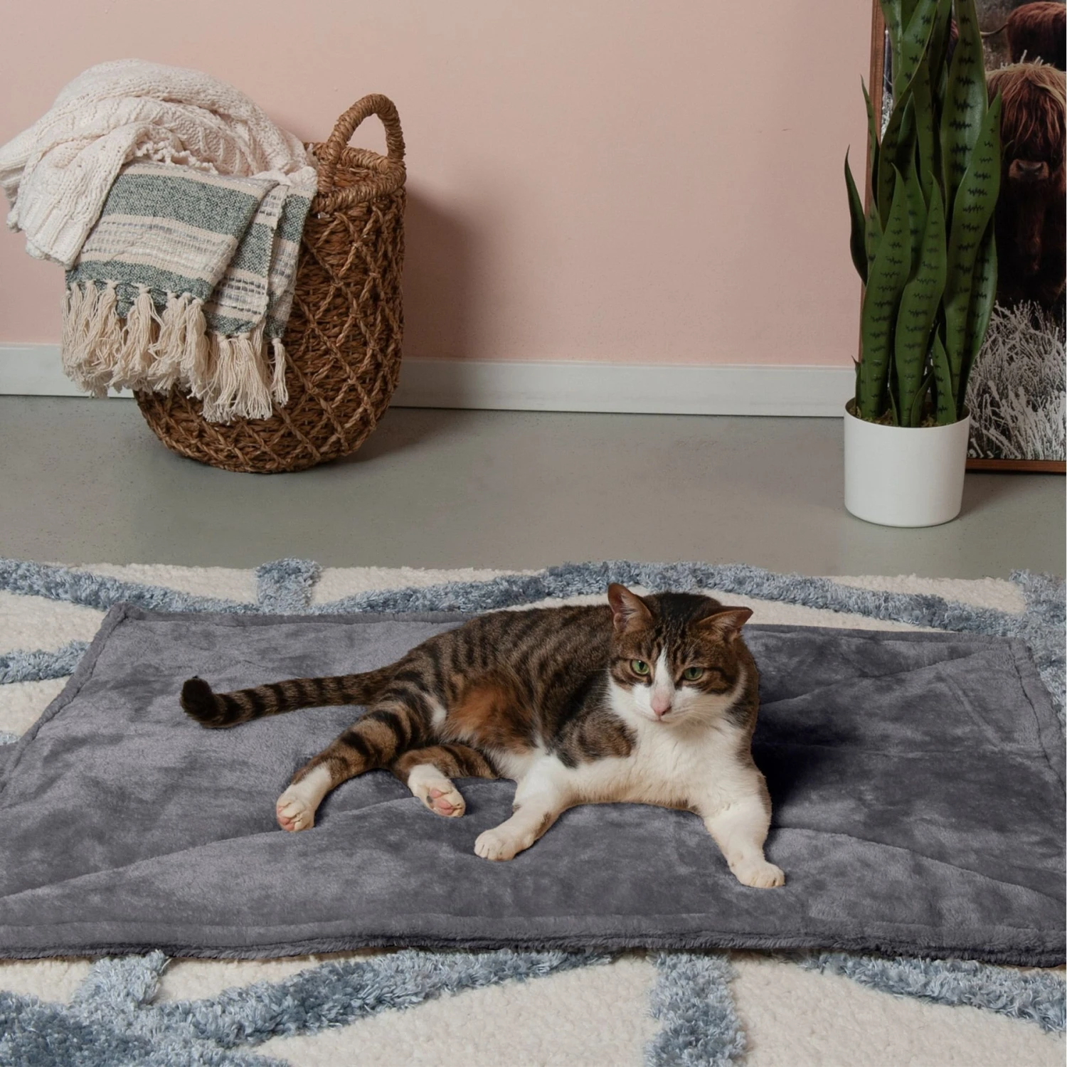 FurHaven ThermaNAP Faux Fur Self-Warming Dog & Cat Mat 1 FurHaven ThermaNAP Faux Fur Self-Warming Dog & Cat Mat