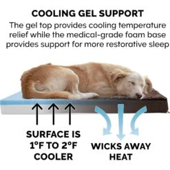 FurHaven Ultra Plush Deluxe Cooling Gel Pillow Dog Bed With Removable Cover -PetSafe Shop Sale 173191 PT6. AC SS1800 V1613803316