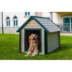New Age Pet EcoFLEX Bunk Style Dog House -PetSafe Shop Sale 175308 PT4. AC SS1800 V1563816718