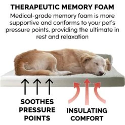 FurHaven Two-Tone Deluxe Chaise Memory Top Cat & Dog Bed With Removable Cover -PetSafe Shop Sale 176268 PT6. AC SS1800 V1606819932