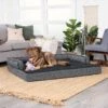 FurHaven Comfy Couch Orthopedic Bolster Dog Bed With Removable Cover