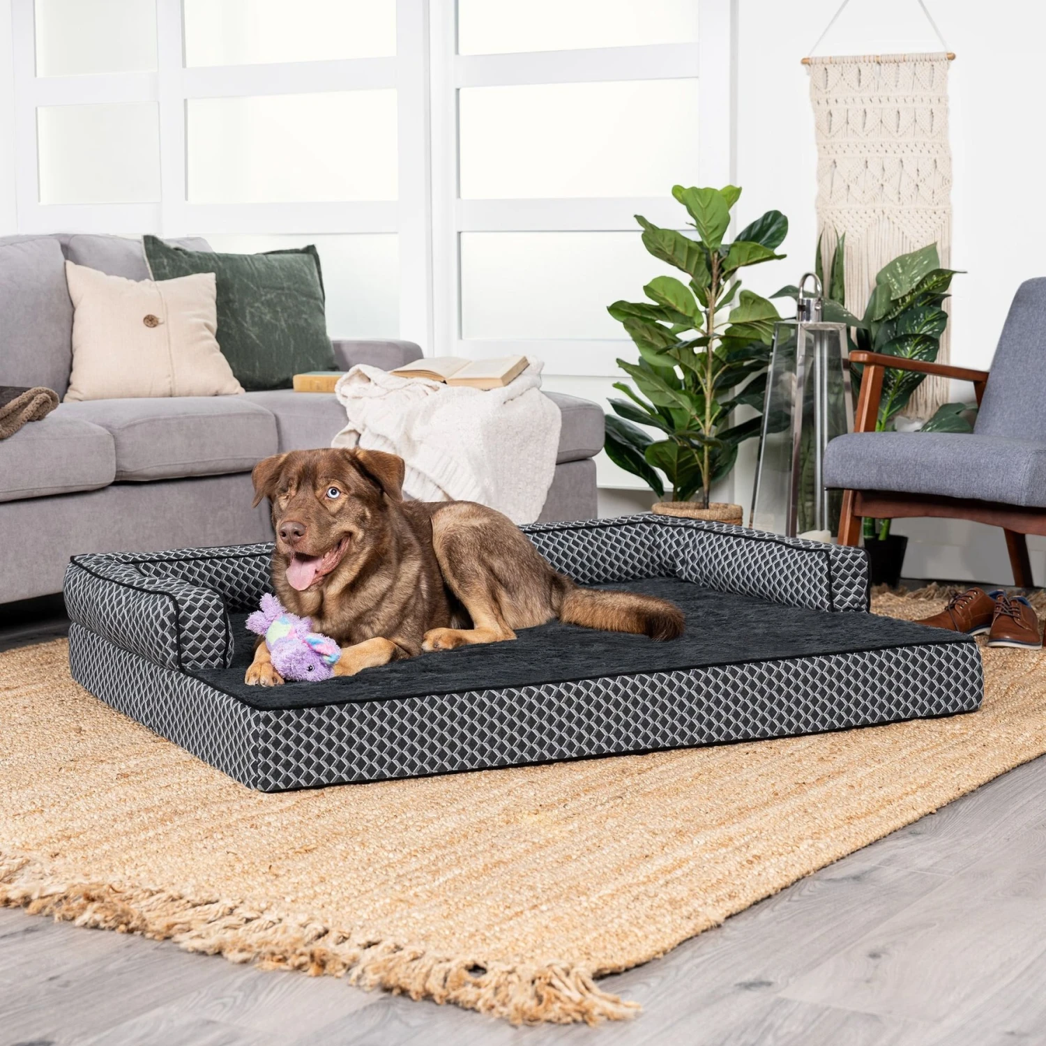 FurHaven Comfy Couch Orthopedic Bolster Dog Bed With Removable Cover 1 FurHaven Comfy Couch Orthopedic Bolster Dog Bed With Removable Cover