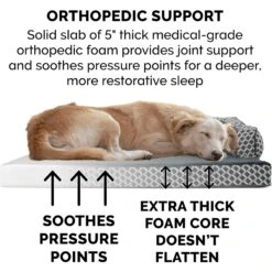 FurHaven Comfy Couch Orthopedic Bolster Dog Bed With Removable Cover 14 FurHaven Comfy Couch Orthopedic Bolster Dog Bed With Removable Cover -PetSafe Shop Sale 178147 PT5. AC SS1800 V1681487877