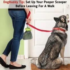 DogBuddy Dog Pooper Scooper -PetSafe Shop Sale 180257 PT7. AC SS1800 V1649104074