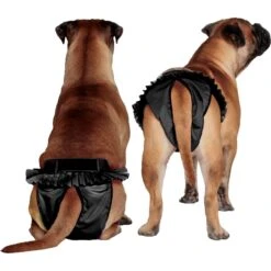FinNero Ballerina Washable Female Heat Dog Diaper -PetSafe Shop Sale 182822 PT4. AC SS1800 V1613173592