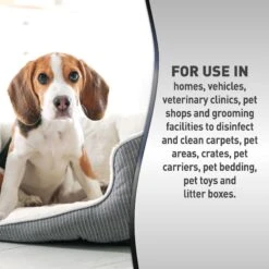 Nature's Miracle Advanced Platinum Dog Antibacterial Stain Remover & Odor Eliminator Refill, 64-oz Bottle -PetSafe Shop Sale 183005 PT6. AC SS1800 V1701115653