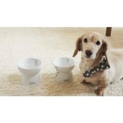 Necoichi Ceramic Elevated Dog Water Bowl, 12-oz -PetSafe Shop Sale 183509 PT8. AC SS1800 V1627495582