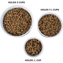 Bone Dry Paw Lattice Print Non-Skid Ceramic Dog & Cat Bowl Set 11 Bone Dry Paw Lattice Print Non-Skid Ceramic Dog & Cat Bowl Set -PetSafe Shop Sale 185453 PT4. AC SS1800 V1599188465