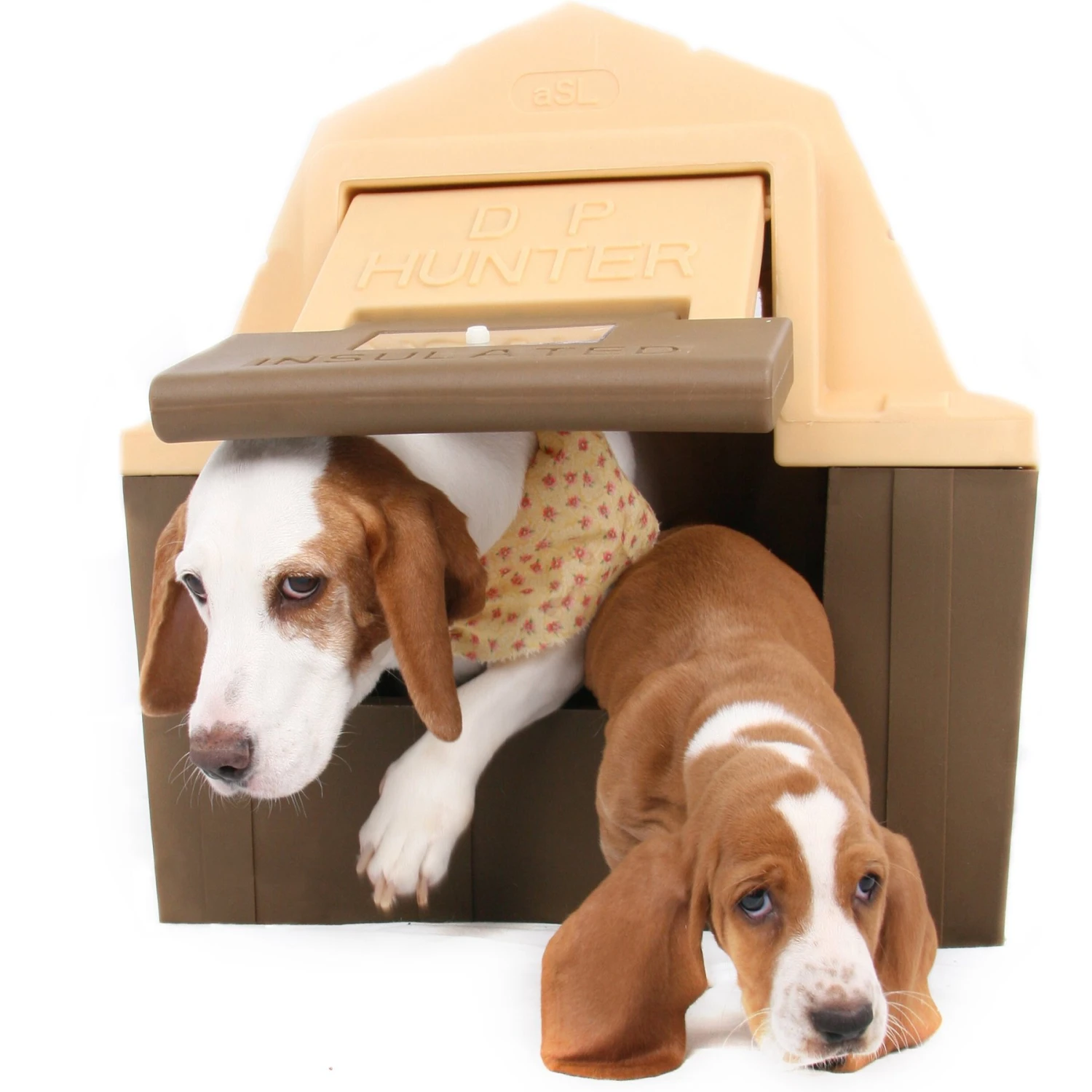 DP Hunter Dog House 7 DP Hunter Dog House - Image 7
