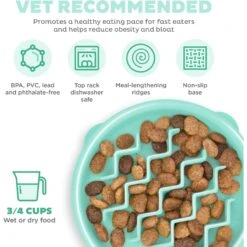 Outward Hound Non-Skid Plastic Slow Feeder Dog Bowl 11 Outward Hound Non-Skid Plastic Slow Feeder Dog Bowl -PetSafe Shop Sale 190603 PT2. AC SS1800 V1694287305