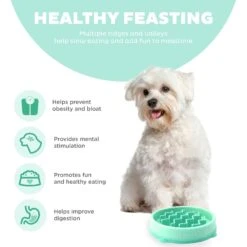 Outward Hound Non-Skid Plastic Slow Feeder Dog Bowl 12 Outward Hound Non-Skid Plastic Slow Feeder Dog Bowl -PetSafe Shop Sale 190603 PT3. AC SS1800 V1694440055