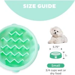 Outward Hound Non-Skid Plastic Slow Feeder Dog Bowl 13 Outward Hound Non-Skid Plastic Slow Feeder Dog Bowl -PetSafe Shop Sale 190603 PT4. AC SS1800 V1694439680