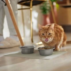 ORE Pet Silicone Dog & Cat Placemat -PetSafe Shop Sale 190789 PT3. AC SS1800 V1684524330