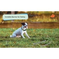 GROOVYPETS Remote Training Dog Collar & Inground Electronic Containment Fence System -PetSafe Shop Sale 192127 PT2. AC SS1800 V1626282675