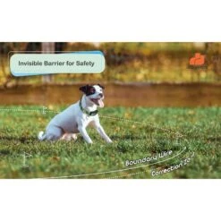 GROOVYPETS Fence & Remote Dog Trainer System, 2 Collars 10 GROOVYPETS Fence & Remote Dog Trainer System, 2 Collars -PetSafe Shop Sale 192129 PT3. AC SS1800 V1626282377