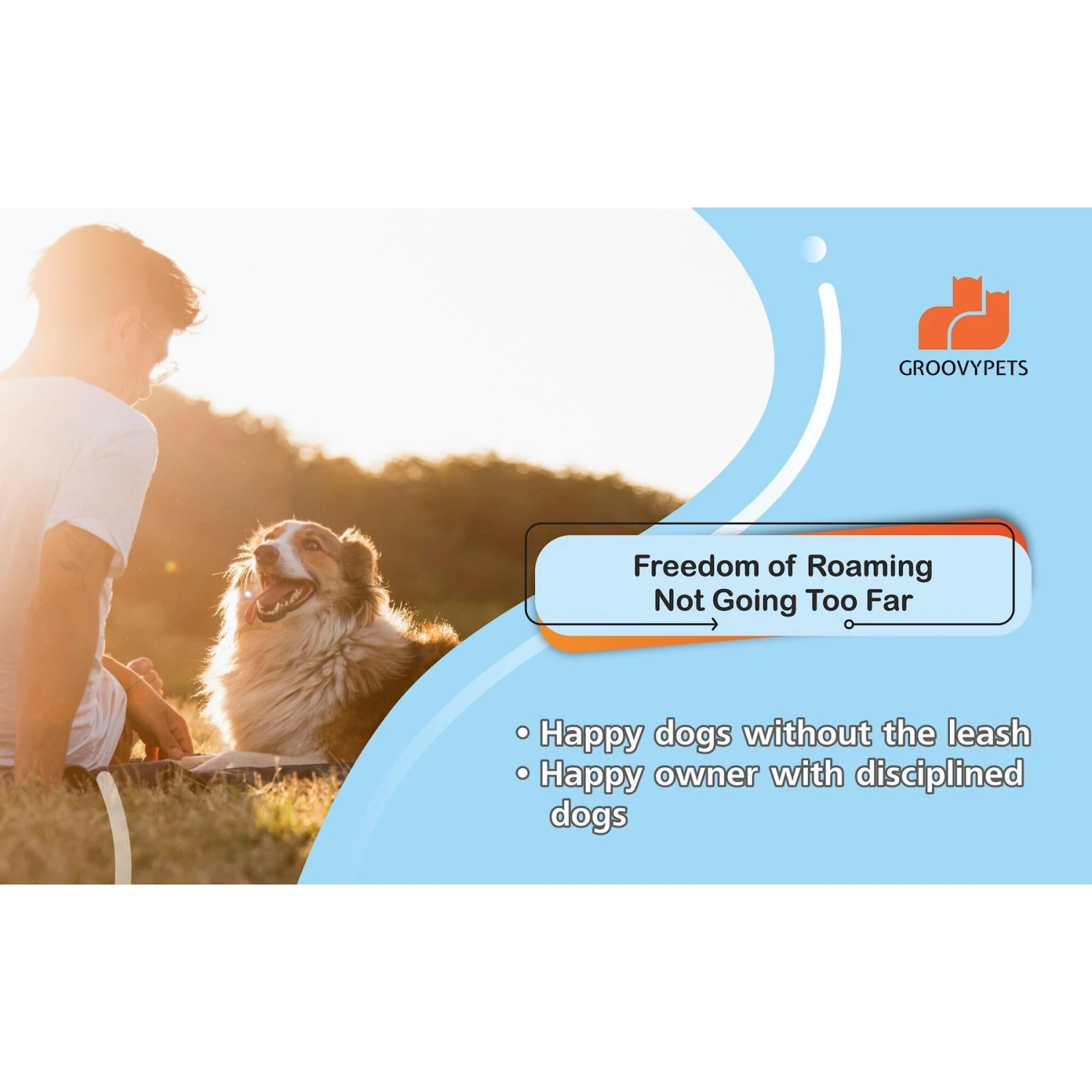 GROOVYPETS Fence & Remote Dog Trainer System, 2 Collars 6 GROOVYPETS Fence & Remote Dog Trainer System, 2 Collars - Image 6