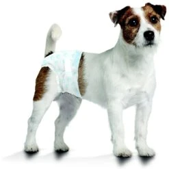 Four Paws Wee-Wee Disposable Dog Diapers -PetSafe Shop Sale 192211 PT5. AC SS1800 V1689364472