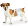 Wee-Wee Disposable Male Dog Wraps