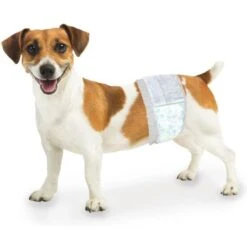 Wee-Wee Disposable Male Dog Wraps