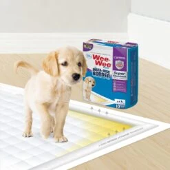 Four Paws Wee-Wee Super Absorbent Dog Pee Pads With Insta-Rise Border -PetSafe Shop Sale 192218 PT5. AC SS1800 V1663018022