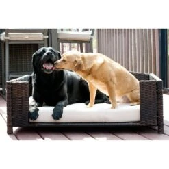 Iconic Pet Rattan Rectangular Sofa Cat & Dog Bed With Removable Cover, Espresso 7 Iconic Pet Rattan Rectangular Sofa Cat & Dog Bed With Removable Cover, Espresso -PetSafe Shop Sale 192464 PT2. AC SS1800 V1568755967