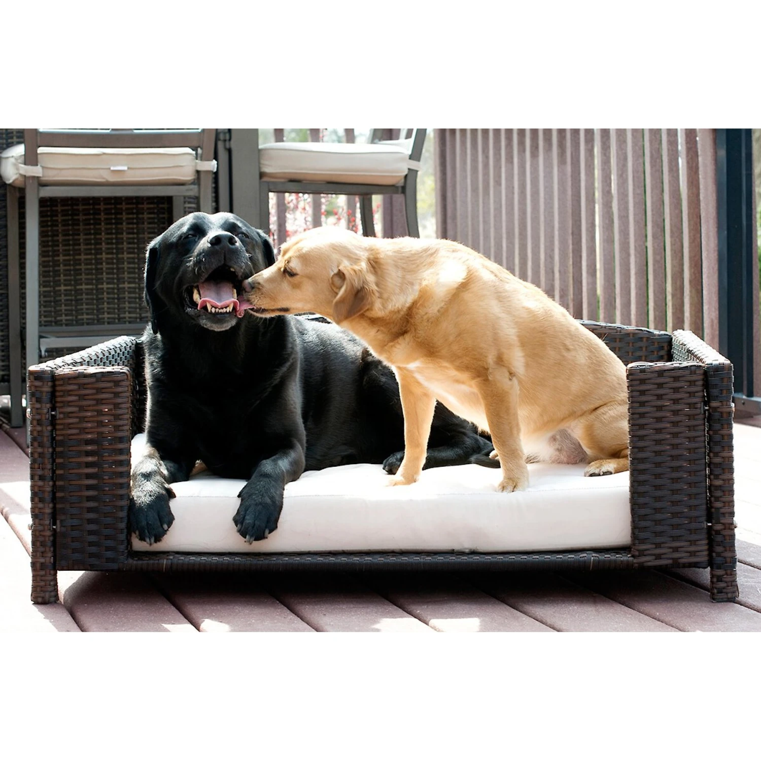 Iconic Pet Rattan Rectangular Sofa Cat & Dog Bed With Removable Cover, Espresso 3 Iconic Pet Rattan Rectangular Sofa Cat & Dog Bed With Removable Cover, Espresso - Image 3
