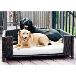 Iconic Pet Rattan Rectangular Sofa Cat & Dog Bed With Removable Cover, Espresso 8 Iconic Pet Rattan Rectangular Sofa Cat & Dog Bed With Removable Cover, Espresso -PetSafe Shop Sale 192464 PT3. AC SS1800 V1568755927